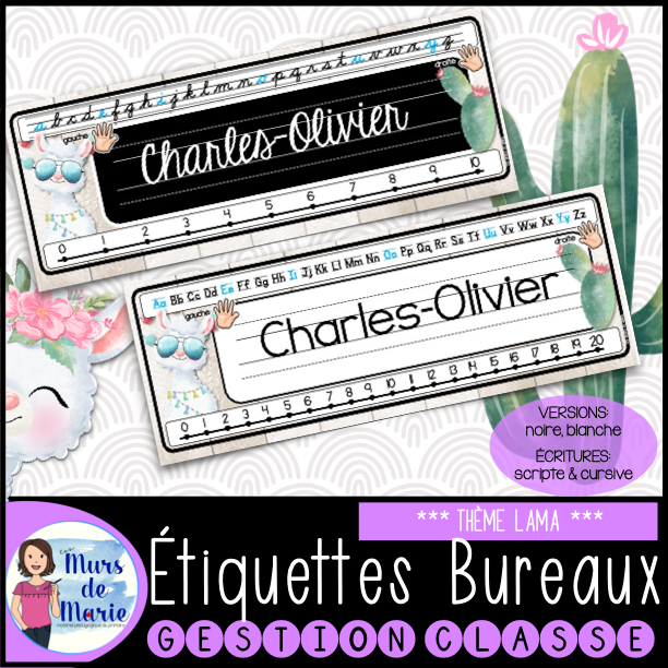 ÉTIQUETTES DE BUREAUX MODIFIABLES (22 MODÈLES)