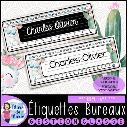 ÉTIQUETTES DE BUREAUX MODIFIABLES (22 MODÈLES)