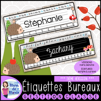 ÉTIQUETTES DE BUREAUX MODIFIABLES (22 MODÈLES)